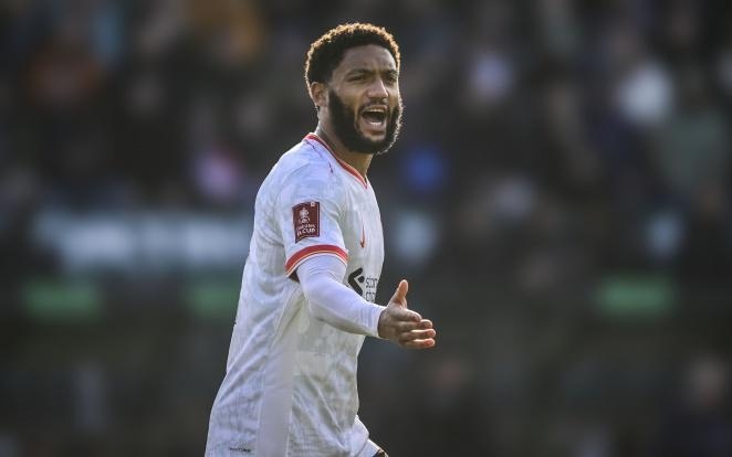 球队表现的 球队表现的