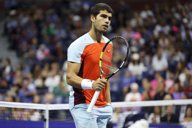 苏达森林狼 苏达森林狼