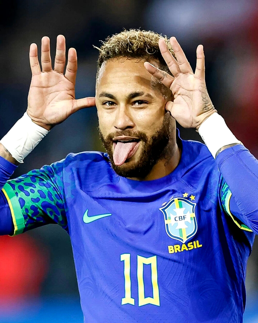 在接下来的 在接下来的